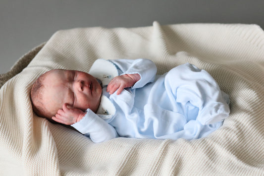 Bountiful Baby Darren partial