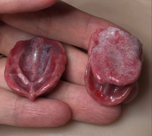 Silicone Reborn Tongue and Gum Set