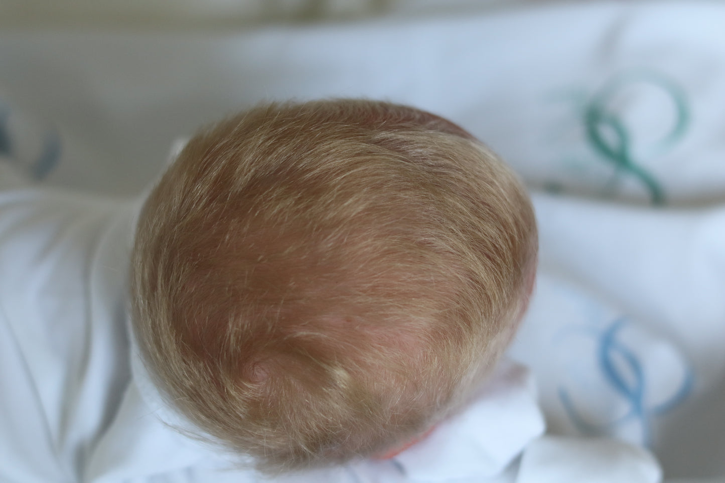 PROTOTYPE Ollie, Silicone Cuddle Head by Leeanne Kellond