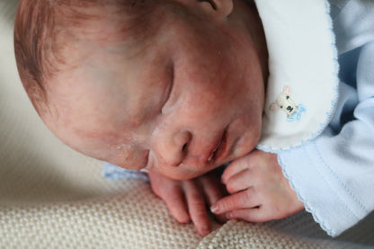 Bountiful Baby Darren partial