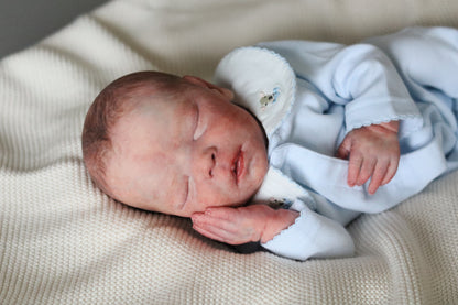 Bountiful Baby Darren partial