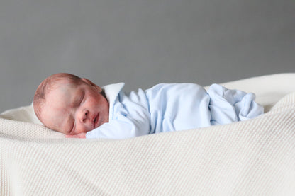 Bountiful Baby Darren partial