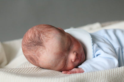 Bountiful Baby Darren partial