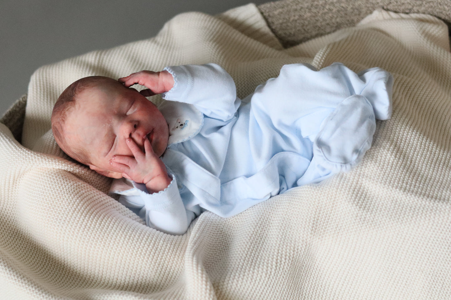 Bountiful Baby Darren partial