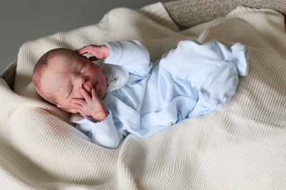 Bountiful Baby Darren partial