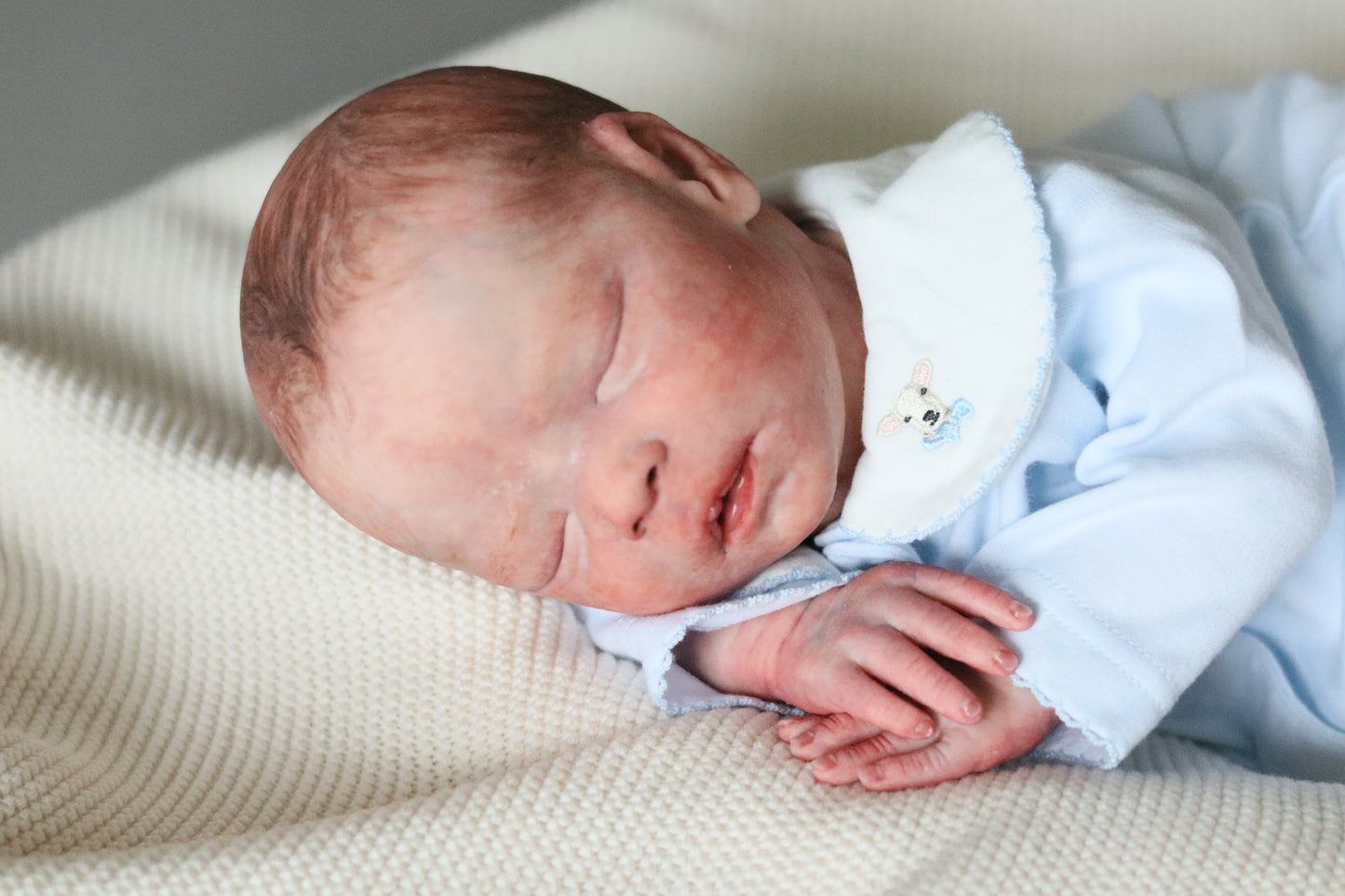 Bountiful Baby Darren partial