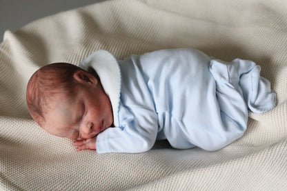 Bountiful Baby Darren partial