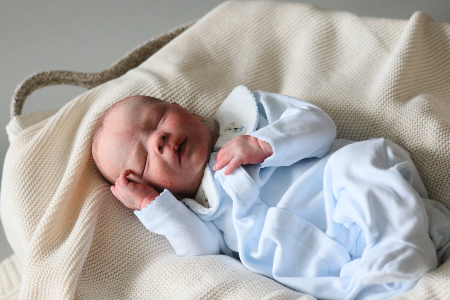 Bountiful Baby Darren partial