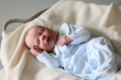 Bountiful Baby Darren partial