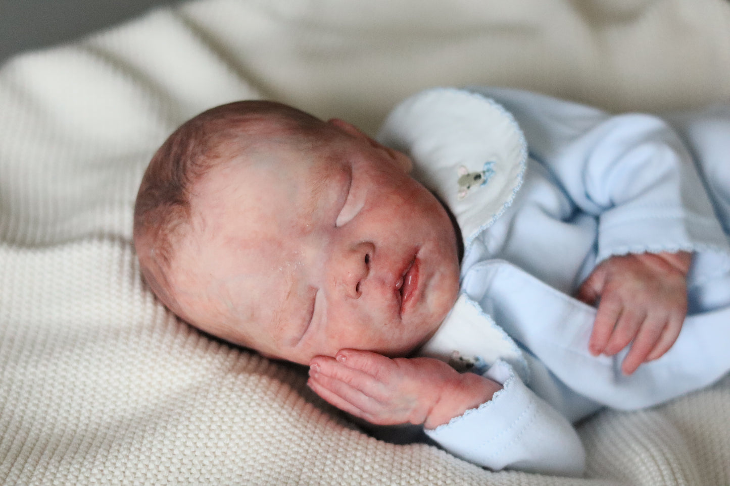 Bountiful Baby Darren partial