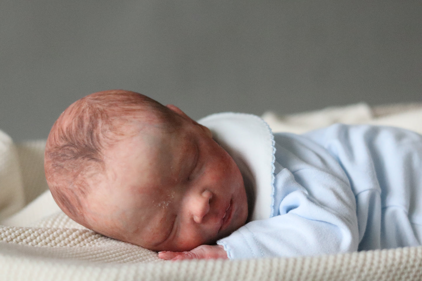 Bountiful Baby Darren partial