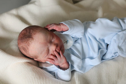 Bountiful Baby Darren partial