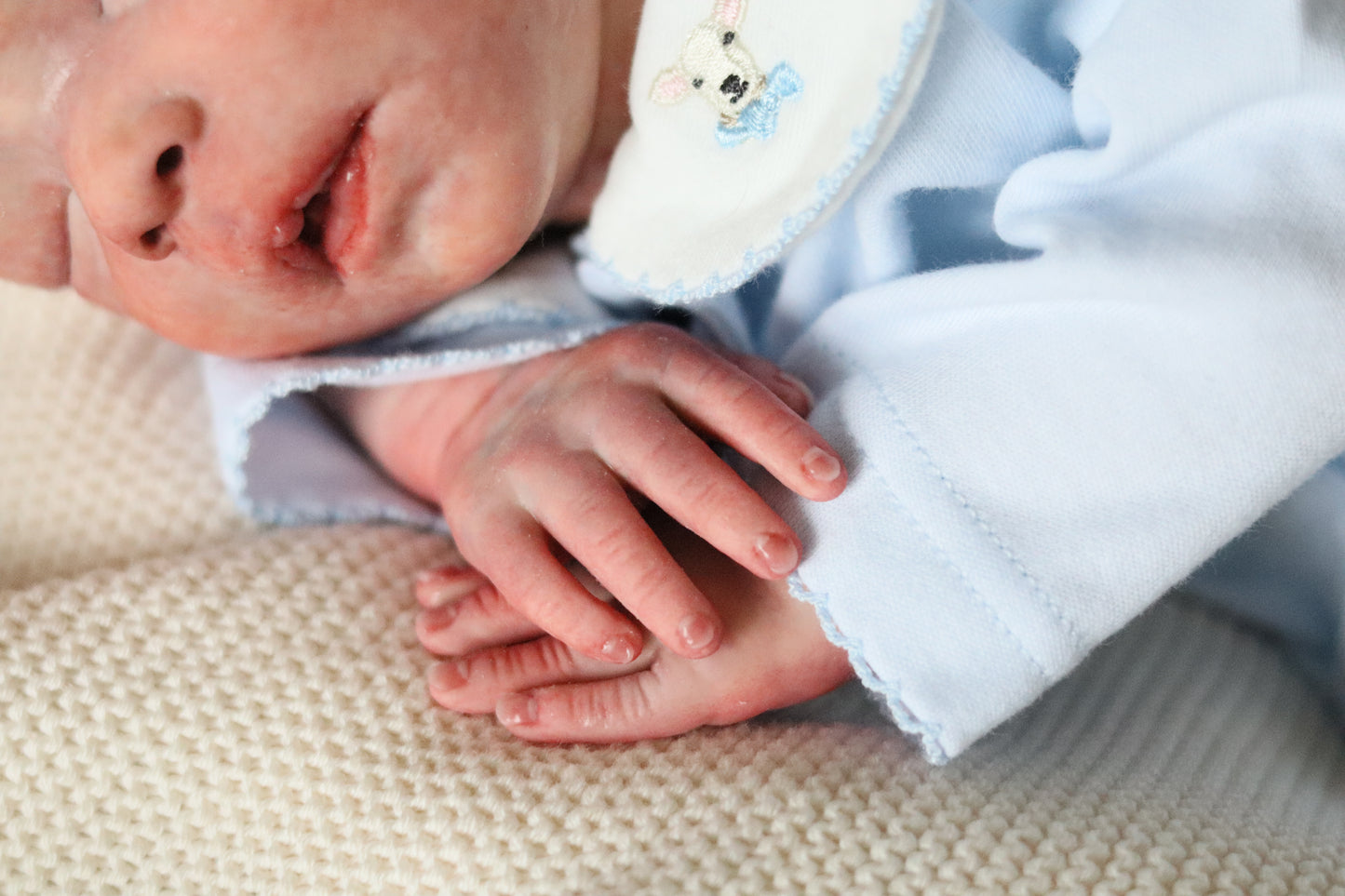 Bountiful Baby Darren partial