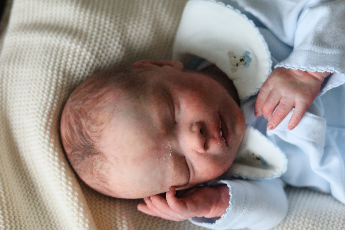 Bountiful Baby Darren partial