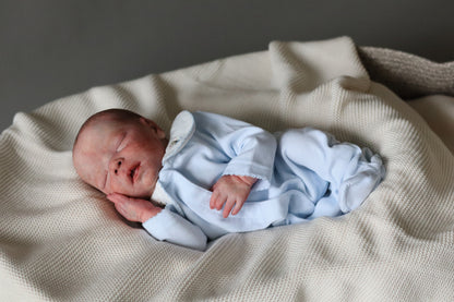 Bountiful Baby Darren partial