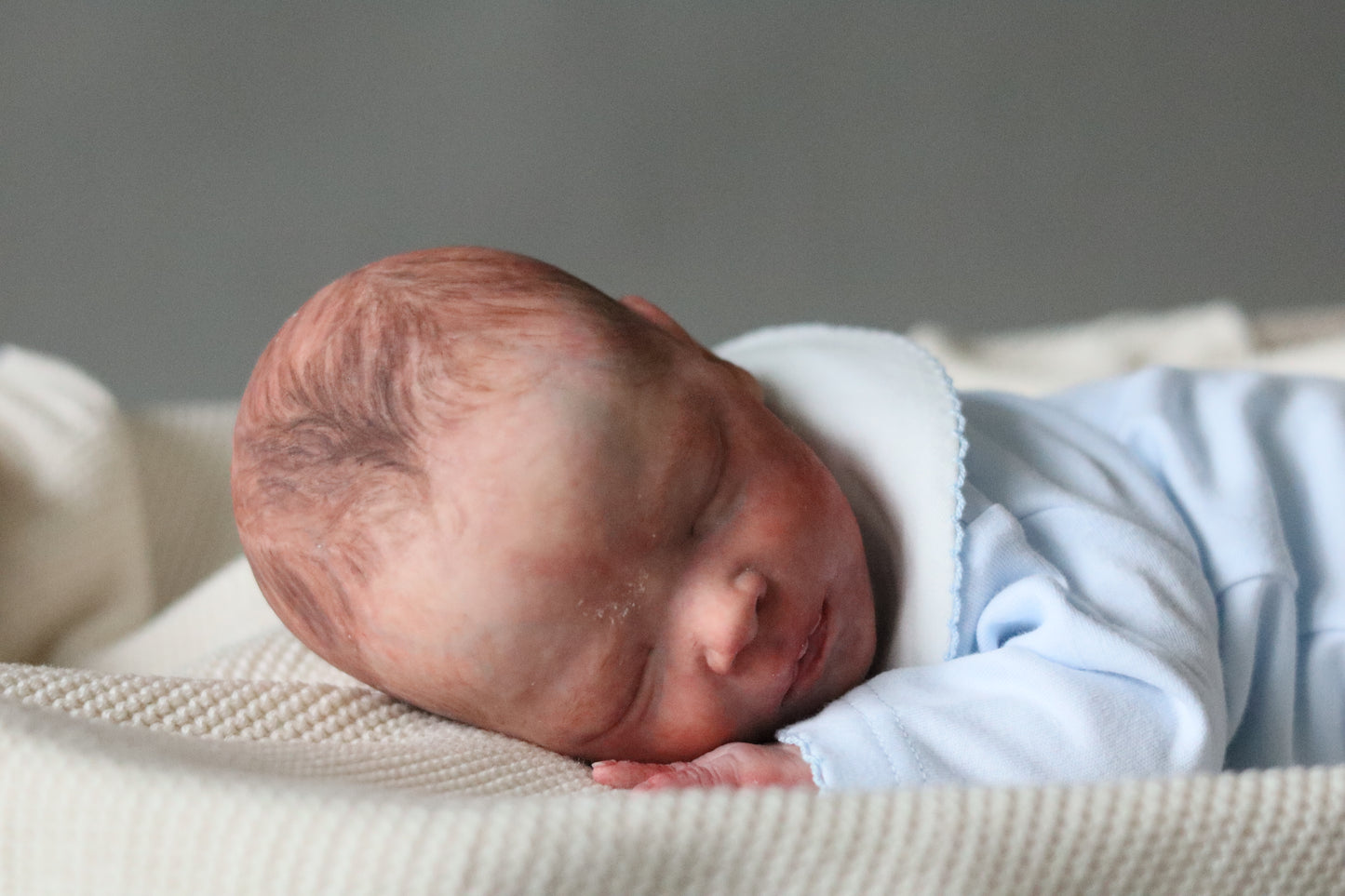 Bountiful Baby Darren partial