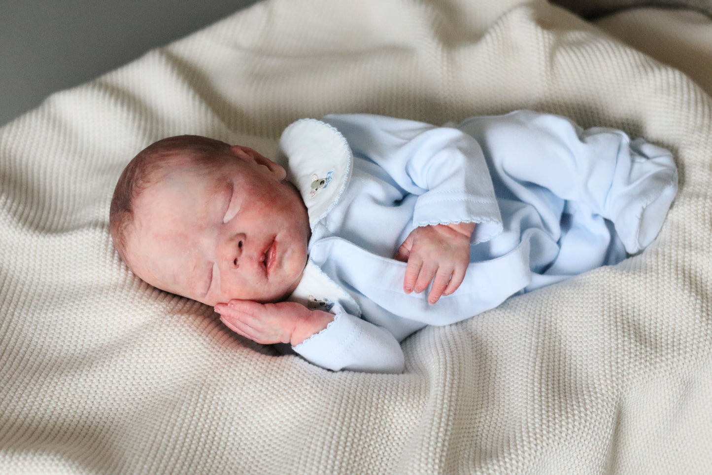 Bountiful Baby Darren partial