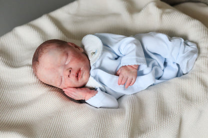 Bountiful Baby Darren partial