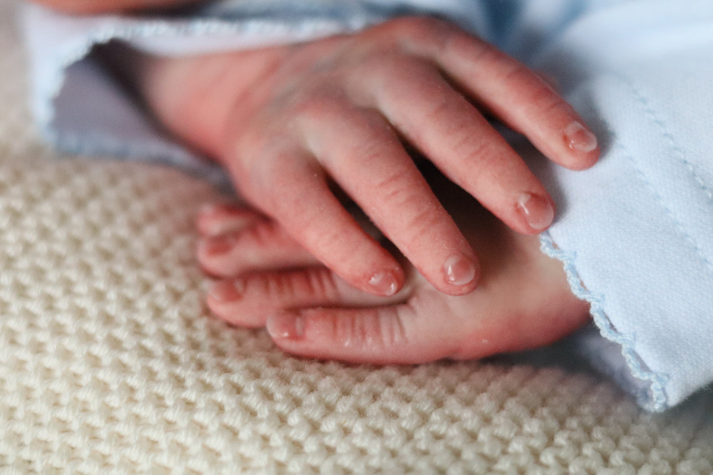 Bountiful Baby Darren partial