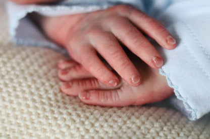 Bountiful Baby Darren partial