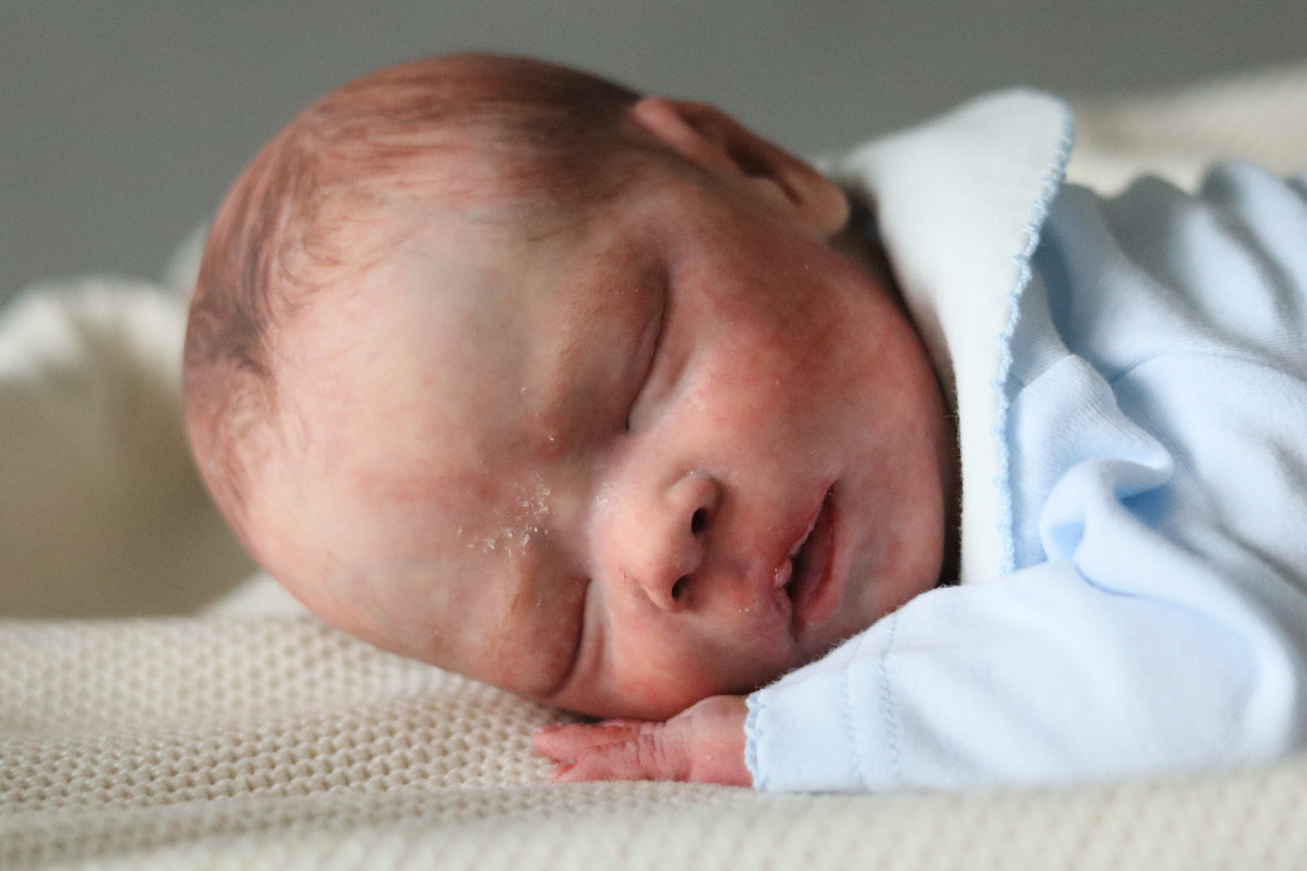 Bountiful Baby Darren partial