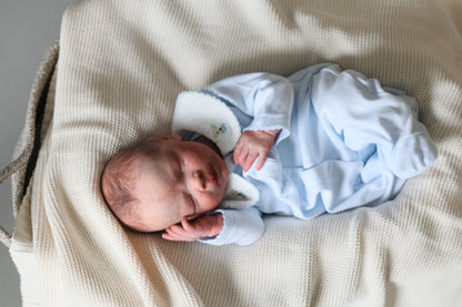 Bountiful Baby Darren partial