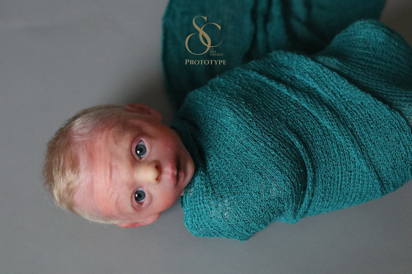 PROTOTYPE Ollie, Silicone Cuddle Head by Leeanne Kellond