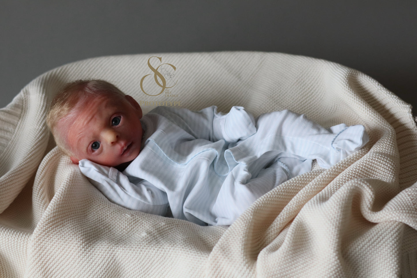 PROTOTYPE Ollie, Silicone Cuddle Head by Leeanne Kellond