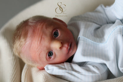 PROTOTYPE Ollie, Silicone Cuddle Head by Leeanne Kellond