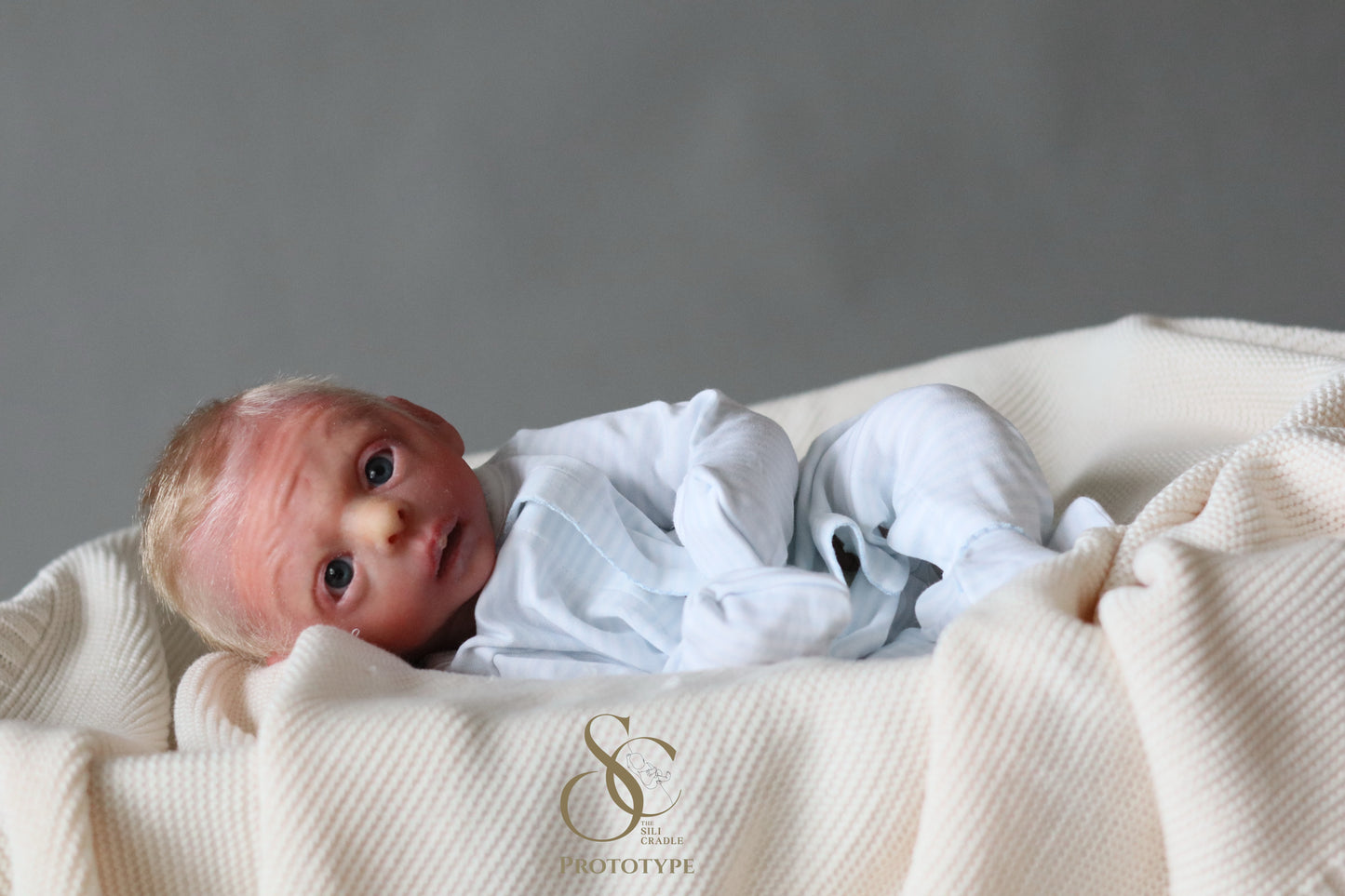 PROTOTYPE Ollie, Silicone Cuddle Head by Leeanne Kellond