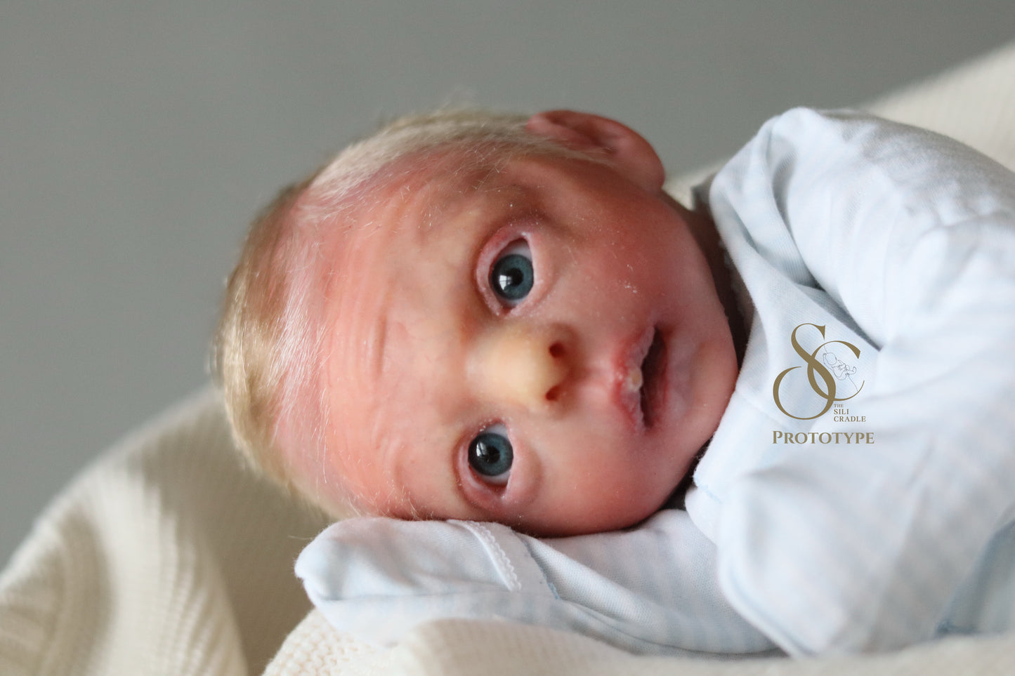 PROTOTYPE Ollie, Silicone Cuddle Head by Leeanne Kellond