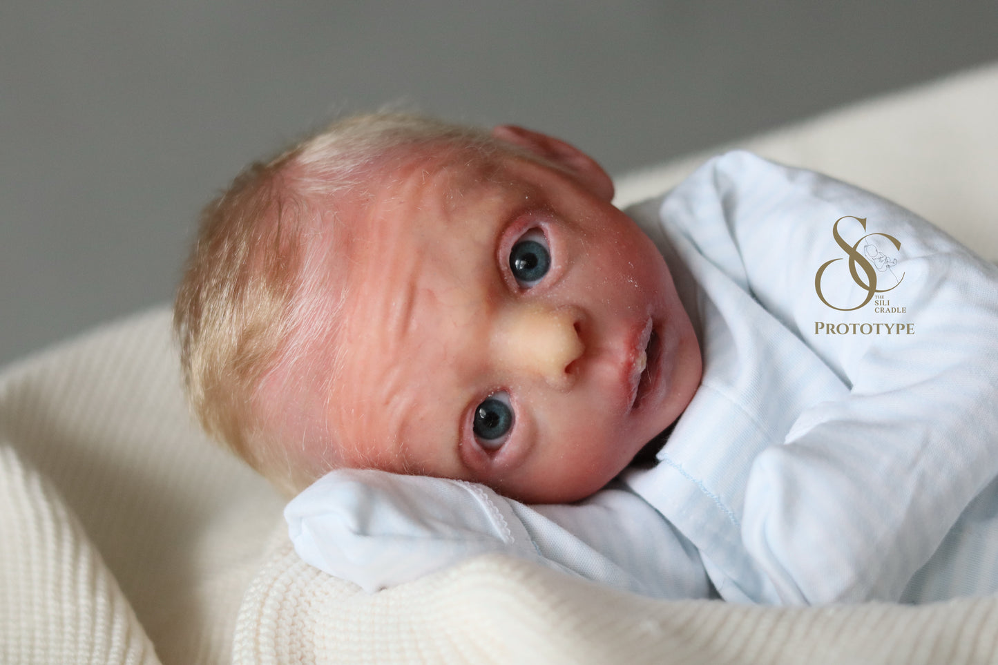 PROTOTYPE Ollie, Silicone Cuddle Head by Leeanne Kellond