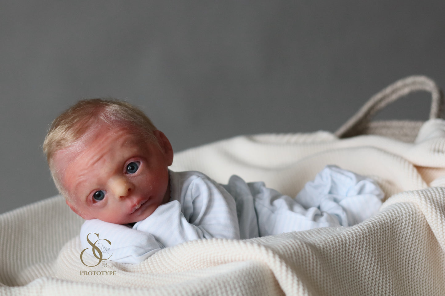 PROTOTYPE Ollie, Silicone Cuddle Head by Leeanne Kellond