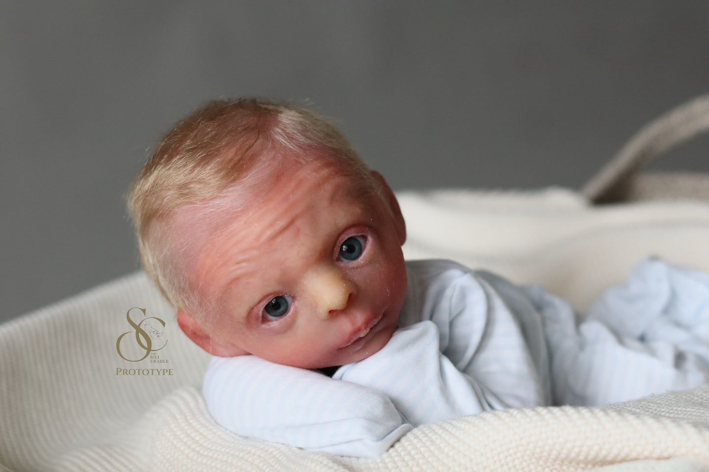 PROTOTYPE Ollie, Silicone Cuddle Head by Leeanne Kellond