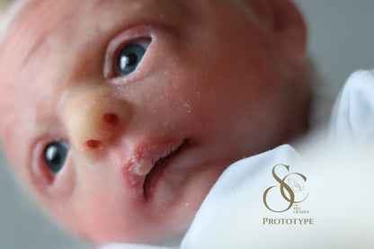 PROTOTYPE Ollie, Silicone Cuddle Head by Leeanne Kellond