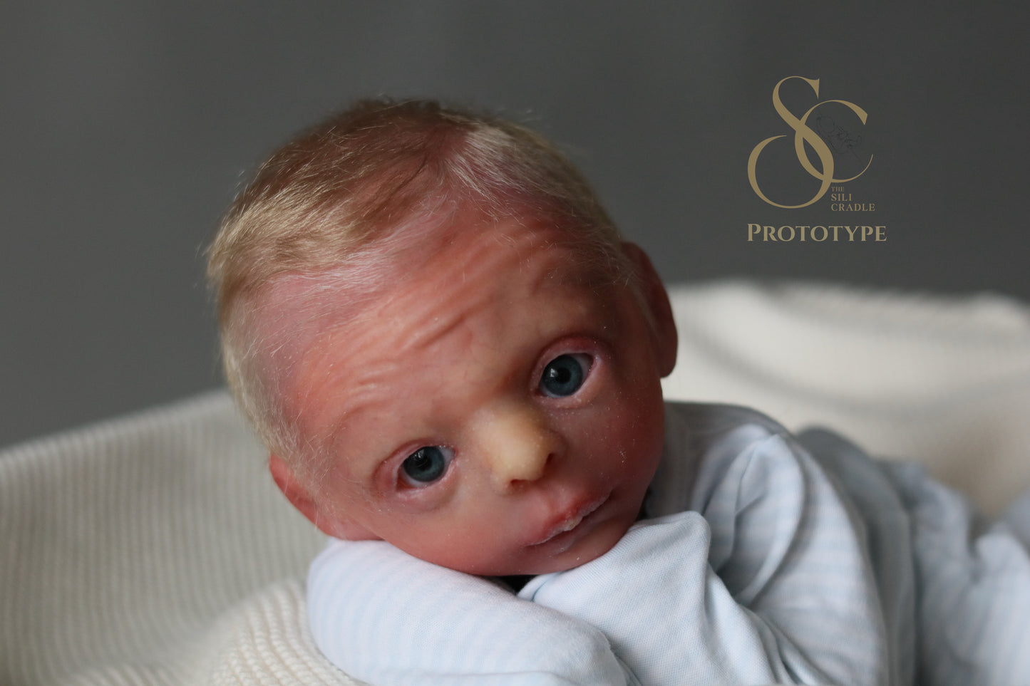 PROTOTYPE Ollie, Silicone Cuddle Head by Leeanne Kellond