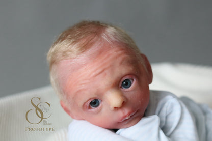 PROTOTYPE Ollie, Silicone Cuddle Head by Leeanne Kellond