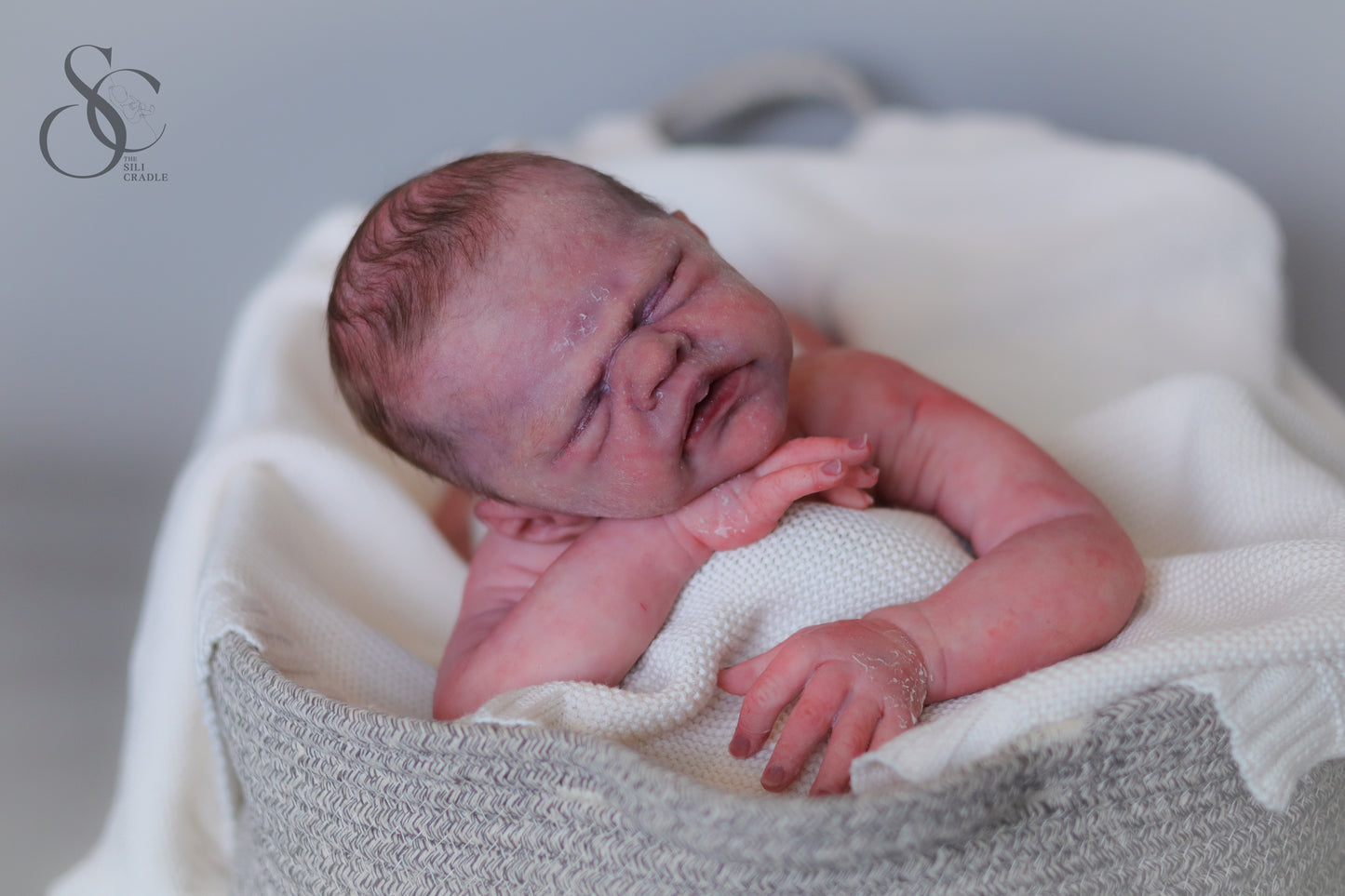 SOLE— Ollie by Sylvia Manning