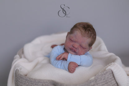 Harry by Bonnie Brown
