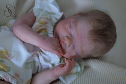 Sarah by Bountiful Baby