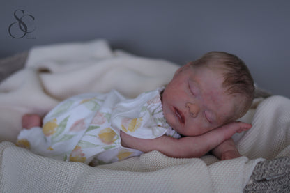 Sarah by Bountiful Baby