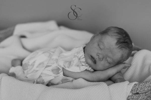 Sarah by Bountiful Baby