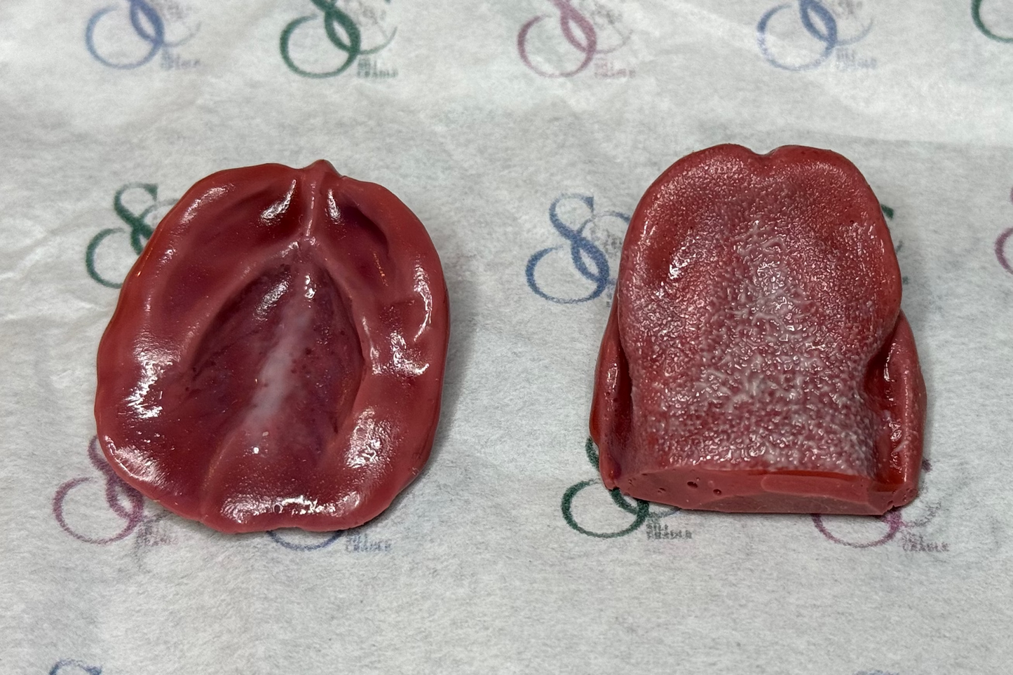 Painted tongue and gum set, top and bottom view