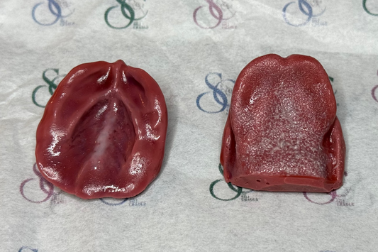 Painted tongue and gum set, top and bottom view